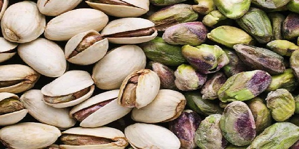 تصویر 5 از فروش پسته کله قوچی سبزوار + قیمت خرید به صرفه
